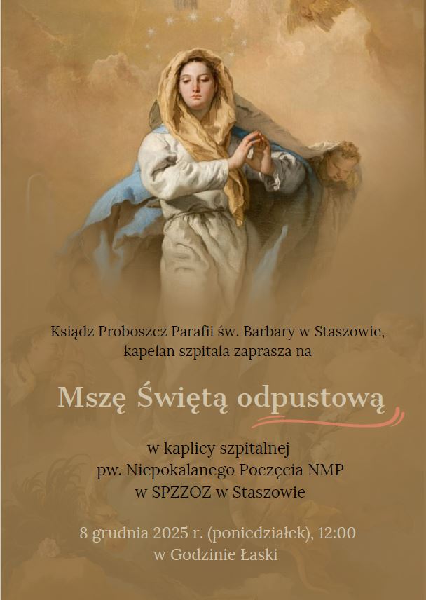 zobacz więcej zdjęć 